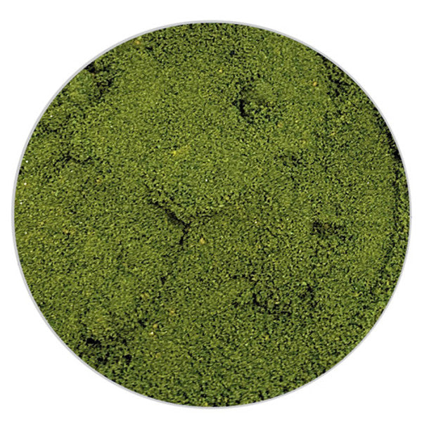 Powdered Food Color -- Leaf Green